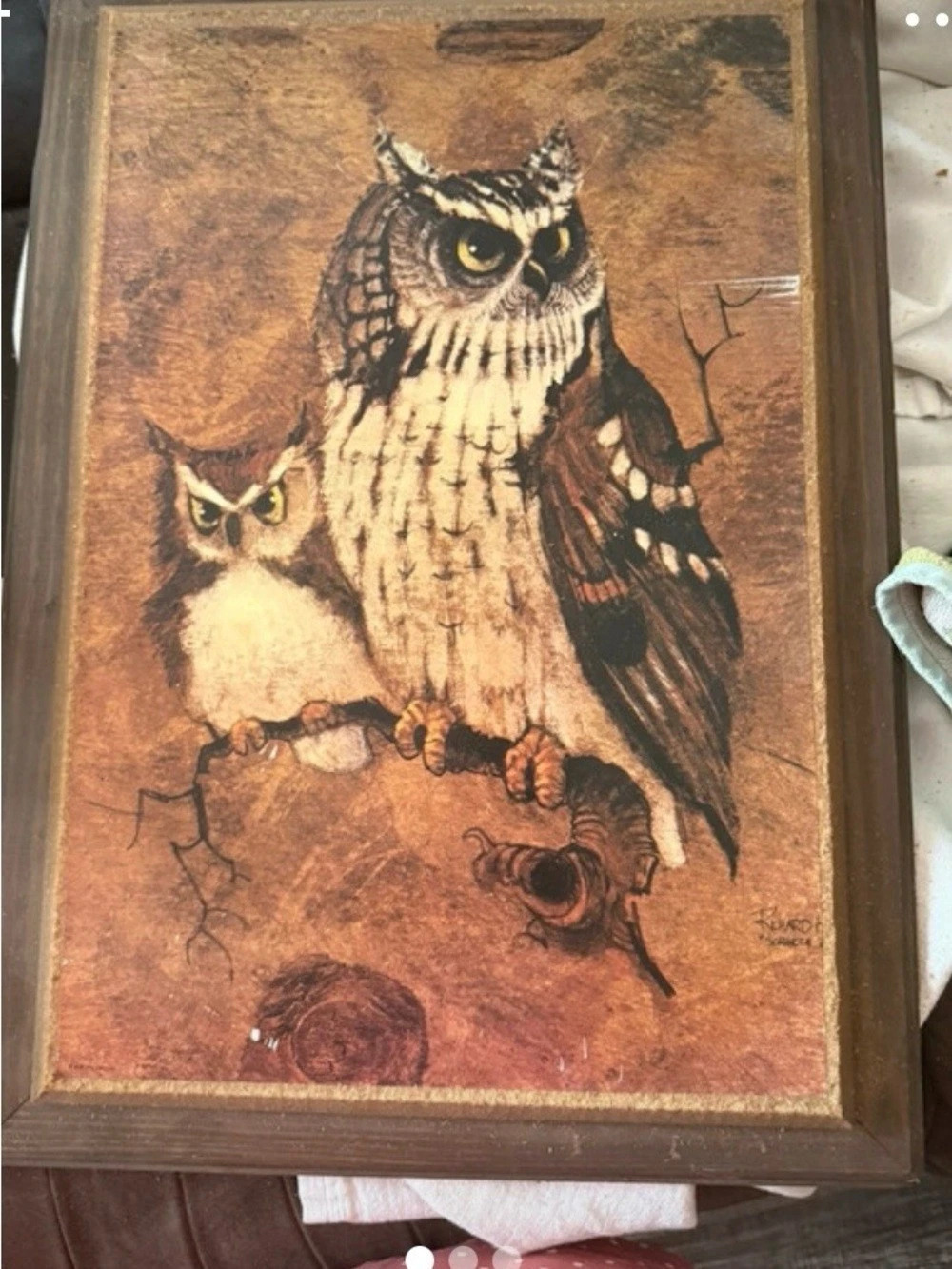 Framed Owl Print in Brown & Tan
